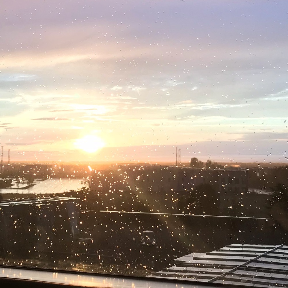 Meet your Posher, Tanoo